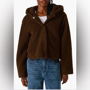 Steve Madden Chocolate Teddy Jacket